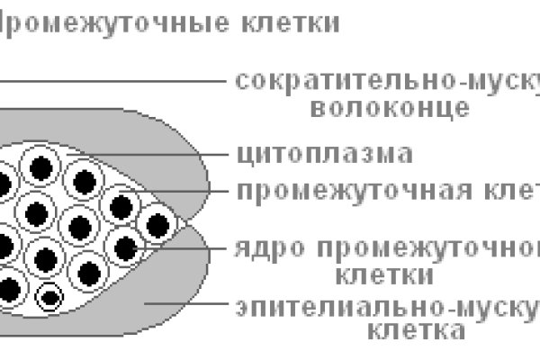 Kraken зеркала kr2web in
