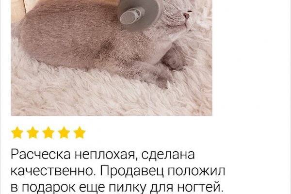 Официальный сайт даркнета