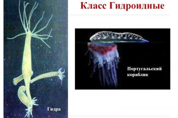Где купить наркоты