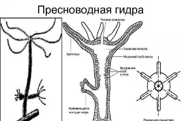 Не могу зайти на сайт кракен