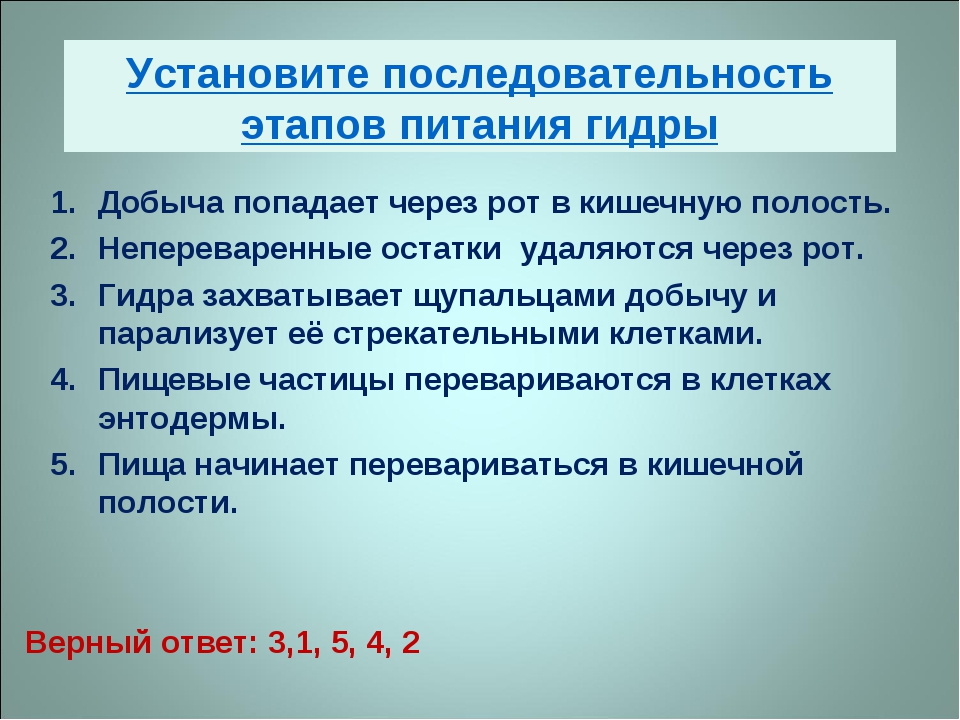 Кракен торговая kr2web in
